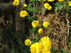 -南京金牛湖风景区