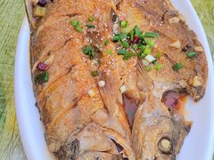 -源水鱼庄·翘嘴鲌店·老字号