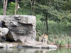 -宁波野生动物园