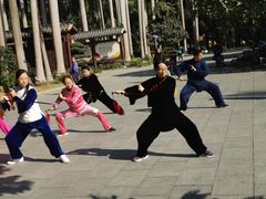 -金花茶公园