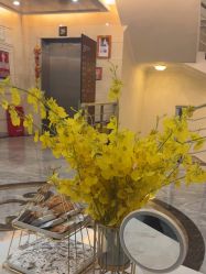 -深圳阳光医疗美容医院·旗舰店