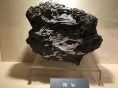 -安徽省地质博物馆