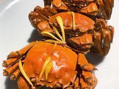 母蟹-蟹榭·本帮江浙菜·蟹宴(五角场合生汇商场店)