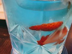 -bluefrog蓝蛙(皇庭广场店)