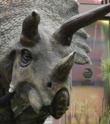 -恐龙探索乐园(磁器口店)