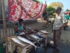 -尼甘布海鲜市场