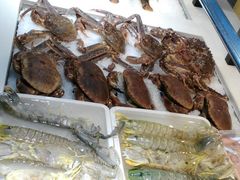 -外高桥超市