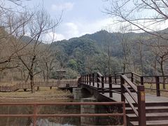 -五泄景区
