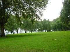-柳浪闻莺公园
