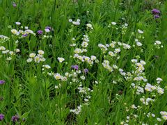 -汉长安城未央宫国家考古遗址公园