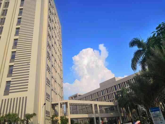 海南大学(城西校区)-"地方小了点,人都很好,很随和!"-大众点评移动版