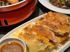 -前海沿·青岛菜(大拇指广场石老人店)