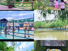 -栾川竹海野生动物园