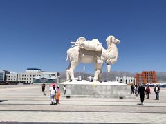 -青海茶卡盐湖文化旅游发展股份有限公司