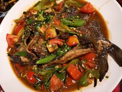 遇龙河剑骨鱼—阳朔特色啤酒鱼-生态苑农庄(十里画廊遇龙河店)