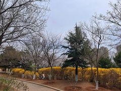 -前关湿地公园