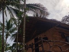 -海南槟榔谷黎苗文化旅游区