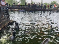 -华夏文旅海洋公园