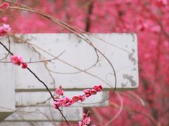 -东林广场(地铁站)