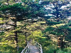 -峨眉山风景名胜区