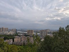 -福道