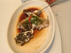 -新成海港大酒楼(康华路店)