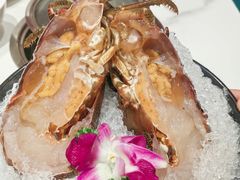 -海月轩海鲜豆捞(紫金塔店)