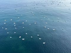 -富临港·蒸汽海鲜·手抓海鲜·炒菜(栈桥店)