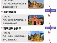 -西双版纳原始森林公园