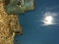 iphone_upload_pic-北戴河圣蓝海洋公园