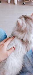 -Beauty Nails 美甲美睫皮肤管理