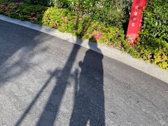 -钱塘江