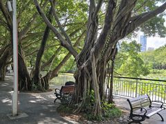 -人民公园(罗湖区)