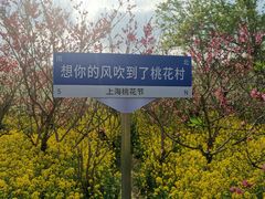 -南汇桃花村