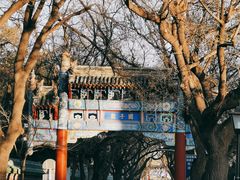 -北京国子监胡同