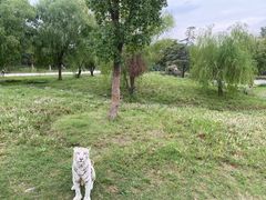 -上海野生动物园