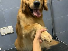 -太原东方动物医院(小店分院)