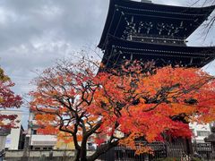 -医王山·飞騨国分寺
