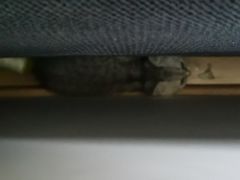 -毛家菜(汽车站店)