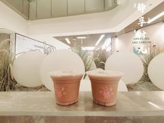 -1点点(大渡口万象汇店)