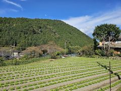 -三千院