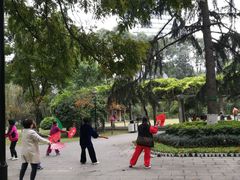 -温江公园
