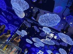 -盒马X会员店(上海森兰商都店)