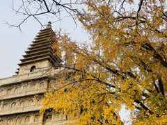 -北京石刻艺术博物馆(五塔寺)