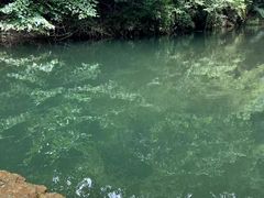 -素山寺森林公园