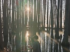 -东湖落雁景区