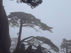 -黄山玉屏楼宾馆餐厅