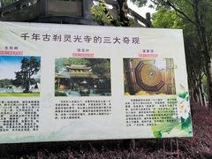 -灵光寺