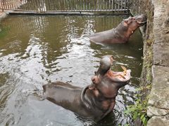 -海南热带野生动植物园