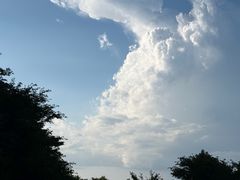 -武陵山森林公园
